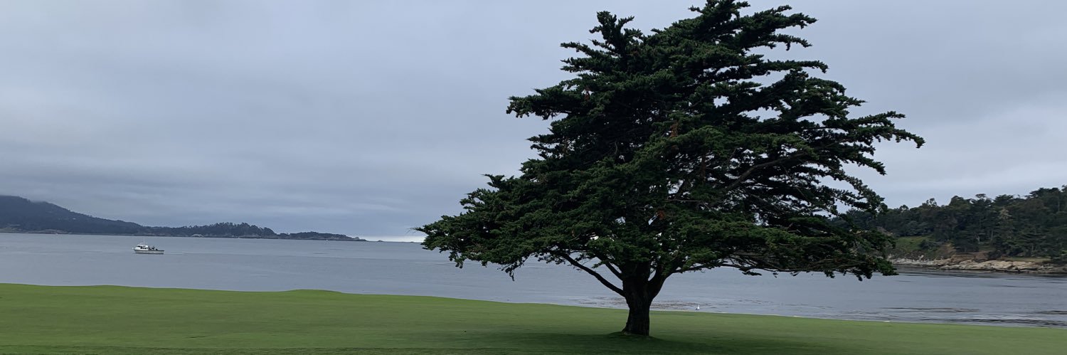 dapresco's profile banner image