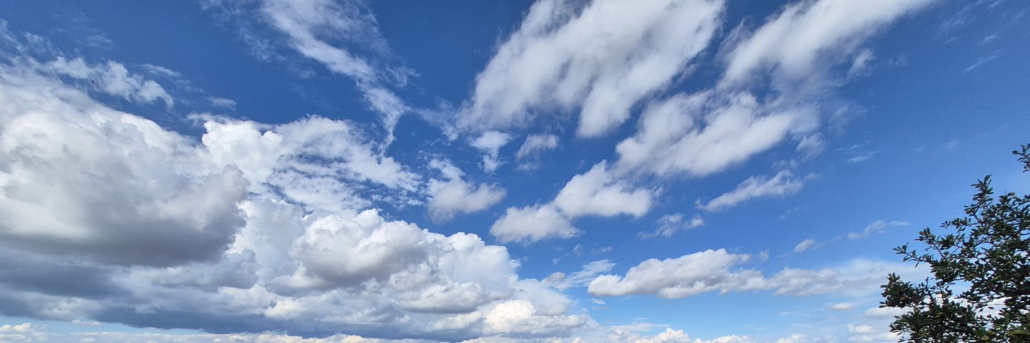 birmaviyol's profile banner image