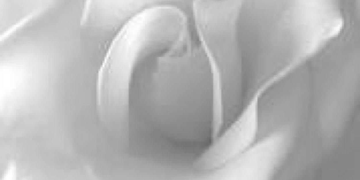 mno3_kw's profile banner image