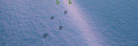 borkbork_'s profile banner image