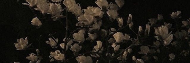 keepitstranger's profile banner image