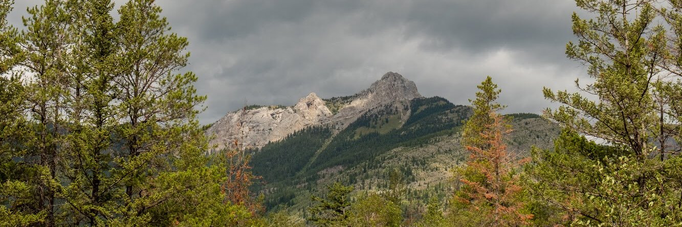 goodguygino's profile banner image