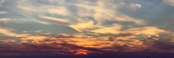 lisapizzaphd Profile Banner