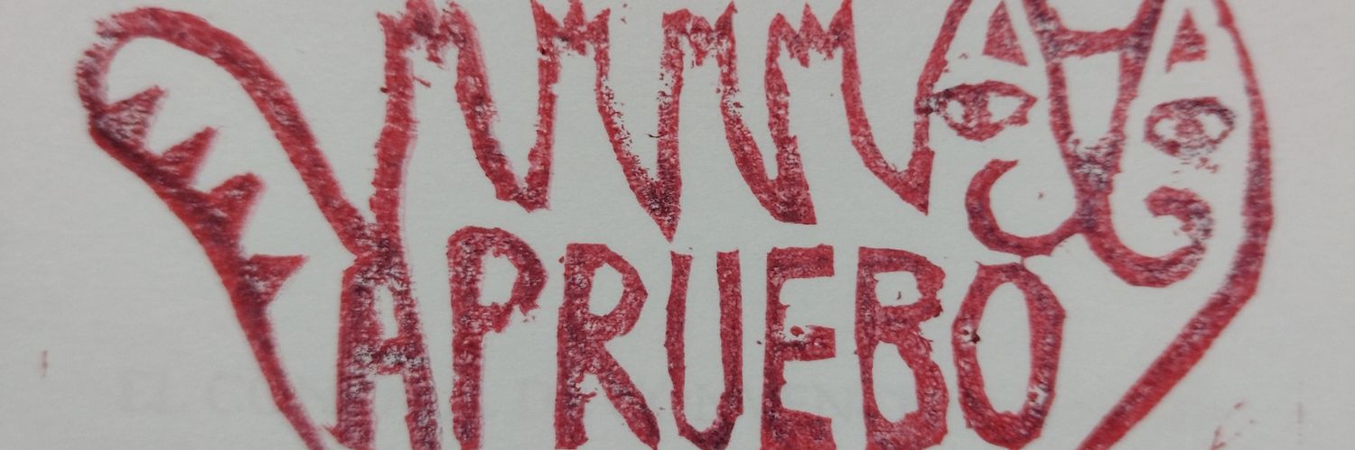 Ñaucita banner