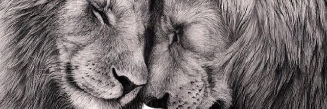 pauloza's profile banner image