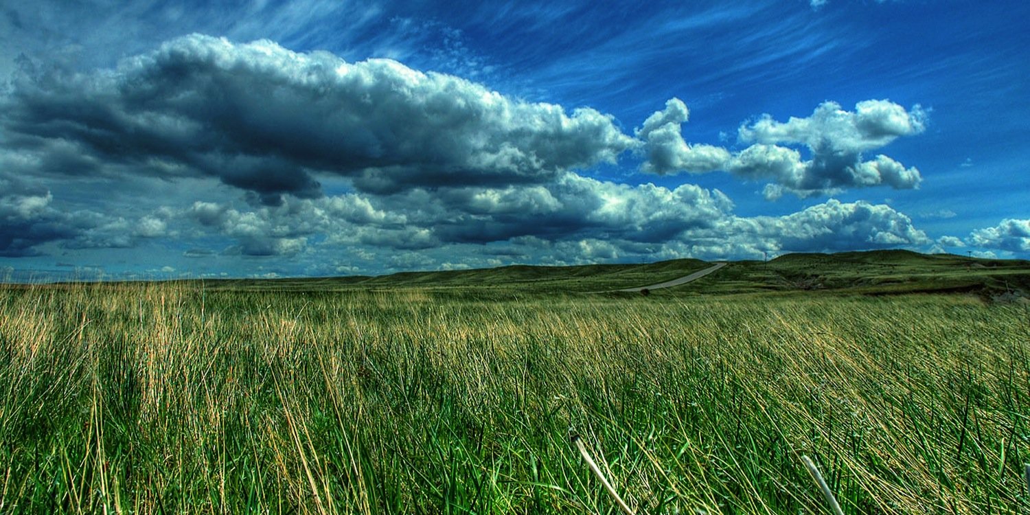 abarosemena's profile banner image