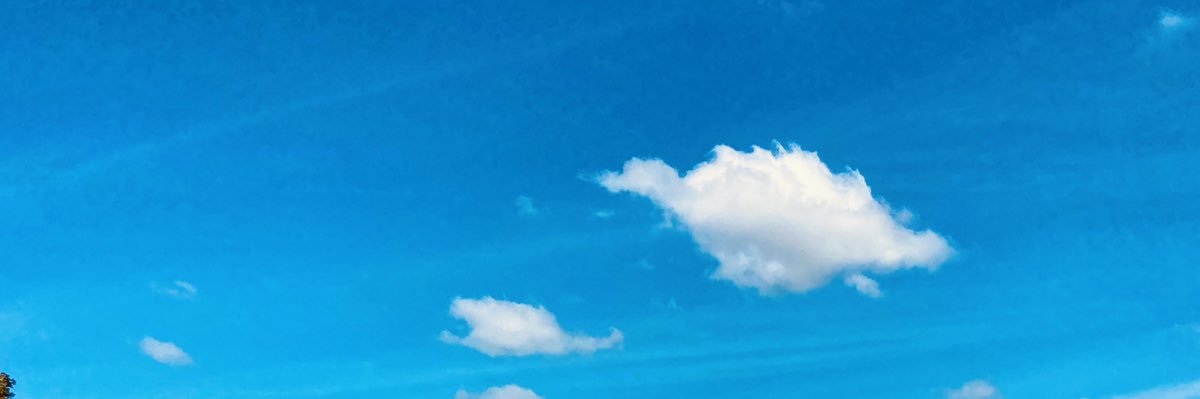 PatyAlarconS's profile banner image