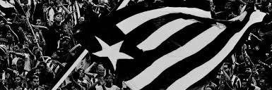 Gilberto Tropiano banner