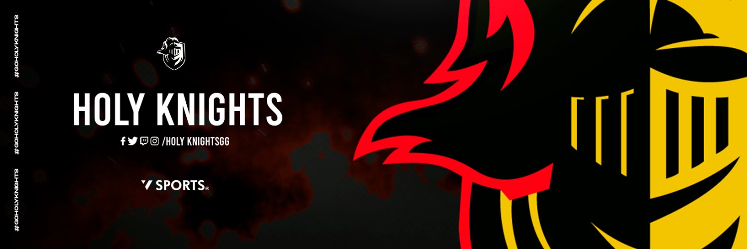 Holy Knights banner