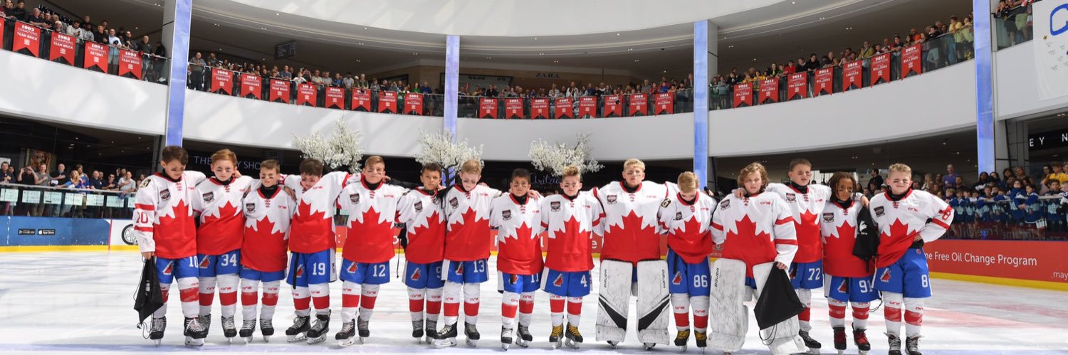 Team Brick Alberta banner