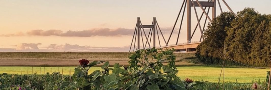 mgerritsen1's profile banner image