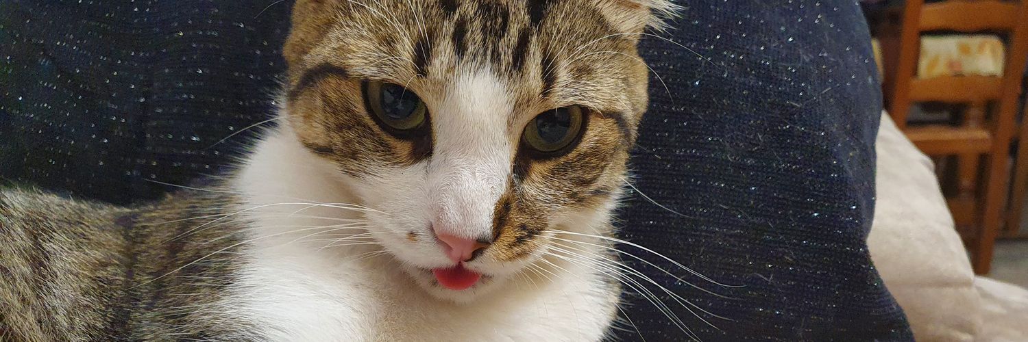 Mina, Gankoomon's Wife banner