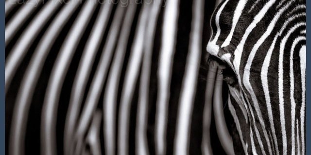 Btardtweets's profile banner image