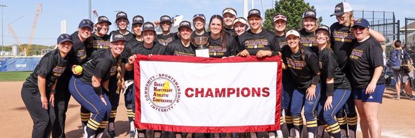 SimmonsSoftball Profile Banner