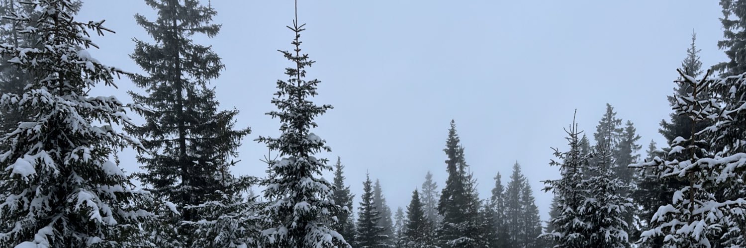 Verity Cockbain (Hartill) banner