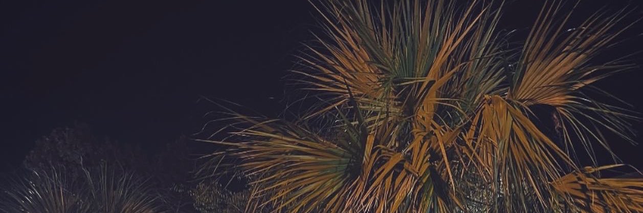 jesssilind's profile banner image