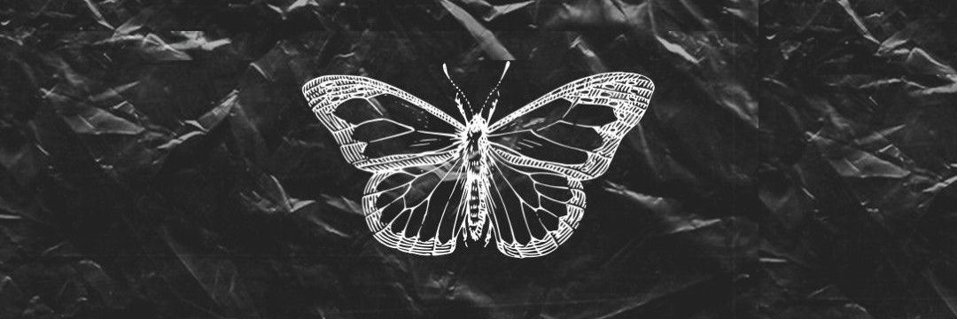 eumihmonteiro's profile banner image