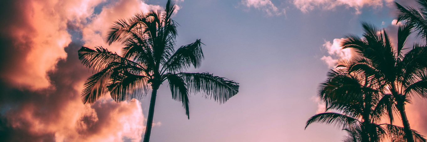 candy_c151's profile banner image