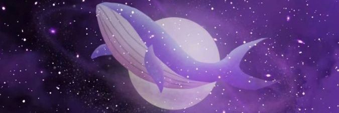 _bastospriscila's profile banner image