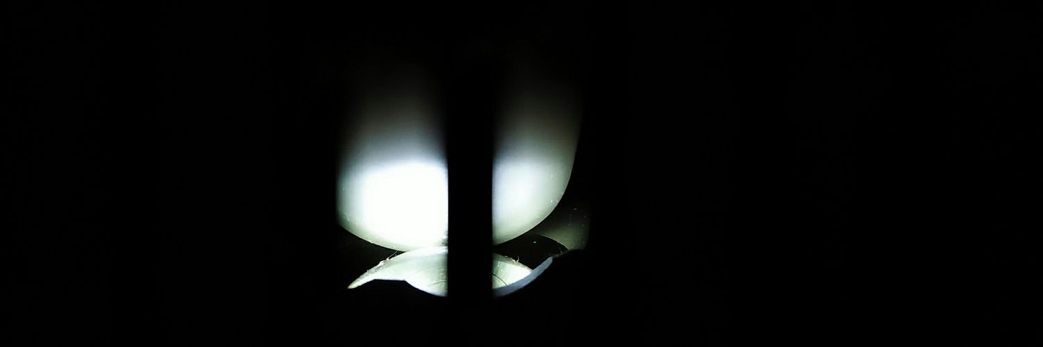 indhen's profile banner image
