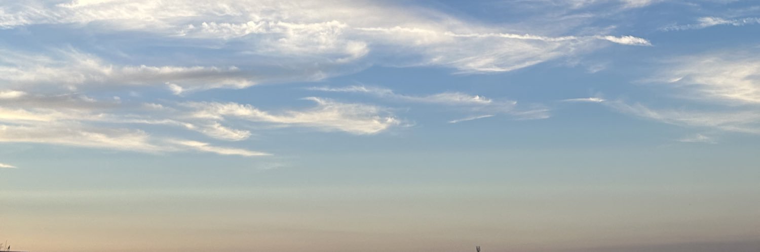 pitisena's profile banner image
