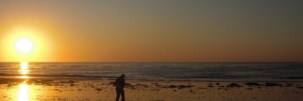 AlexisHFebles Profile Banner