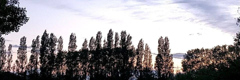 Kasper banner