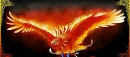 Night Phoenix Gang banner
