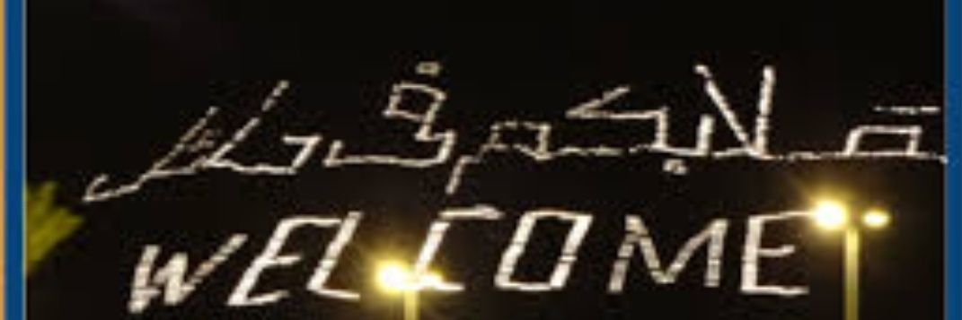 hailaih's profile banner image