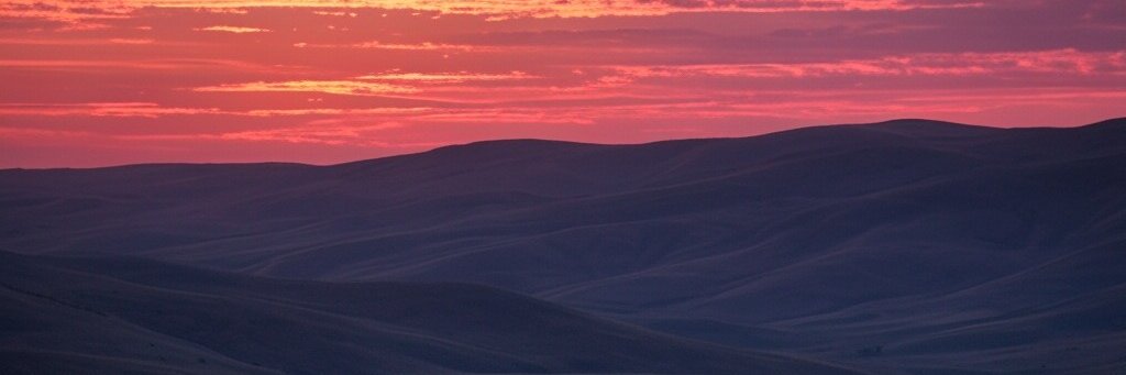 iskanderlee's profile banner image