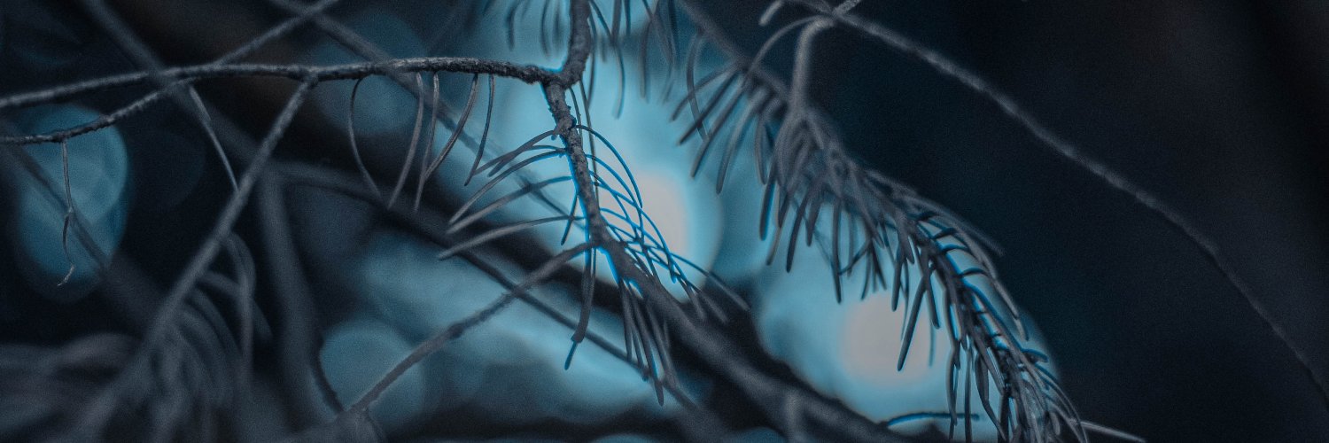 domjaniga's profile banner image
