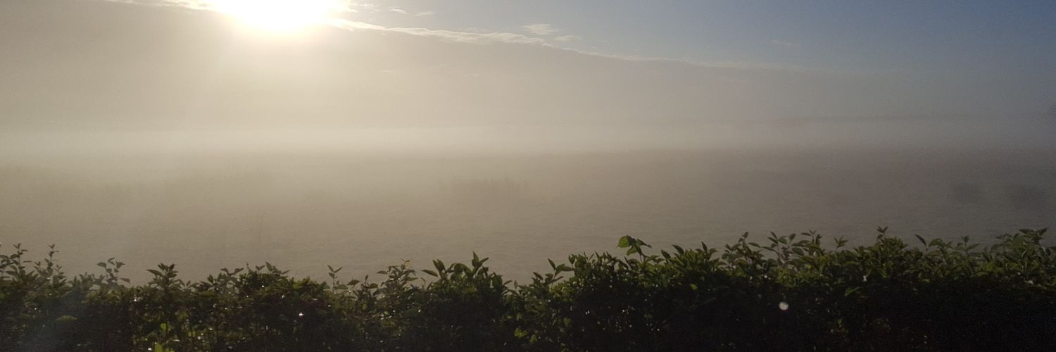 LeaMOlesen's profile banner image