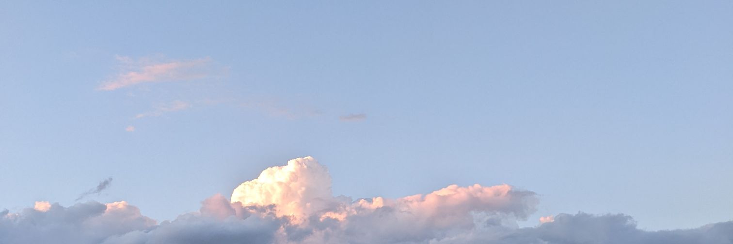 stevebuckytea's profile banner image
