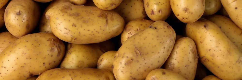 Patate_Kentun's profile banner image