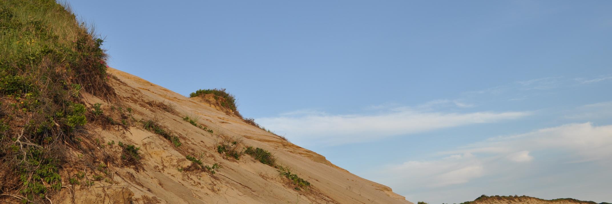 Chris Sarfaty banner