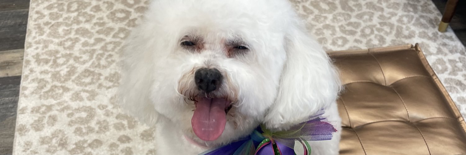 AedlsDe's profile banner image