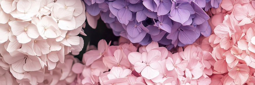 gemagemisol's profile banner image