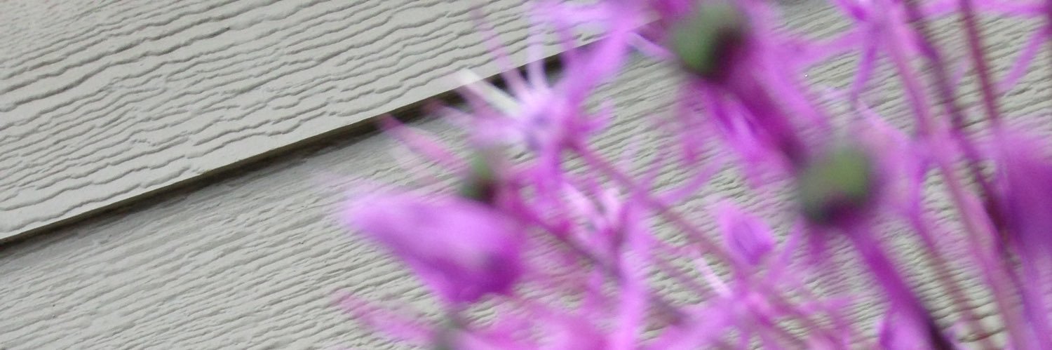 ArgusArgan's profile banner image