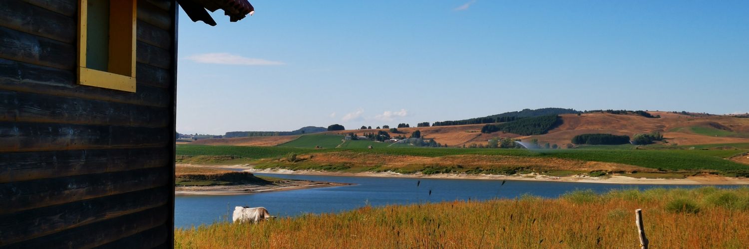 pecoranee's profile banner image