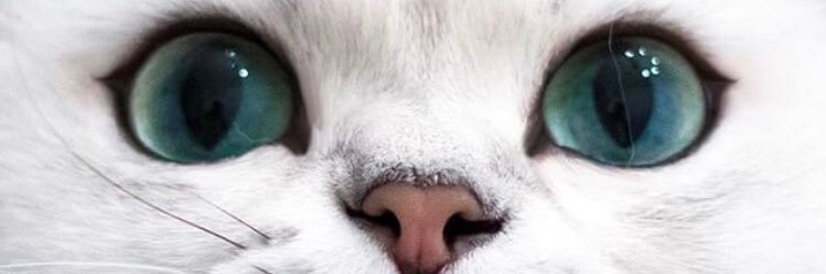 bruna9321's profile banner image