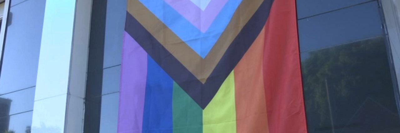 dom brassey (she/they) banner