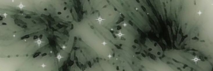 nesthaaron's profile banner image