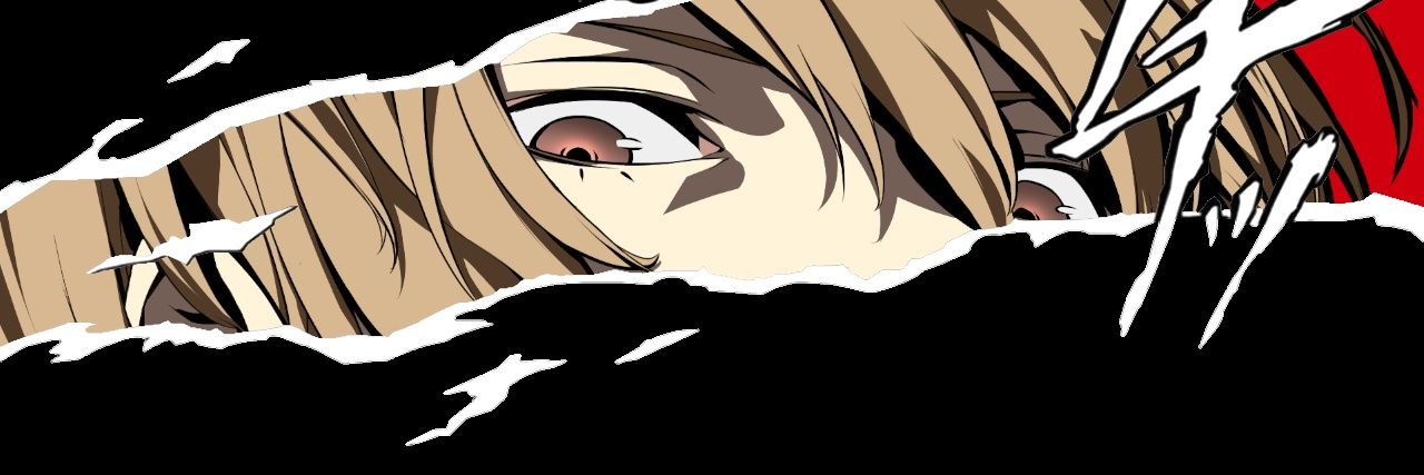 Hoks banner
