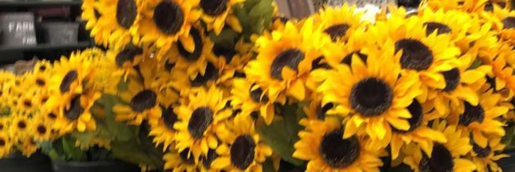 ladycali7's profile banner image