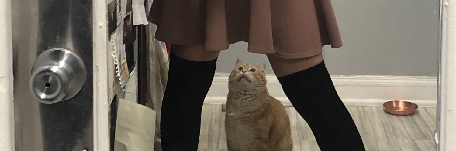 MollyLeCaptain's profile banner image