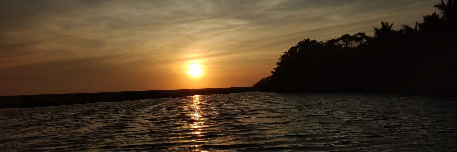 PauCarranco's profile banner image