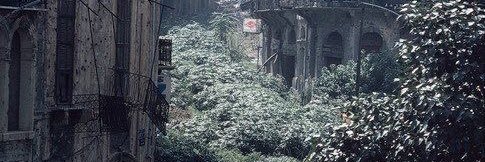 vae banner