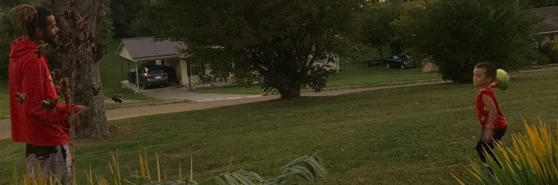Wing_N_Shit's profile banner image