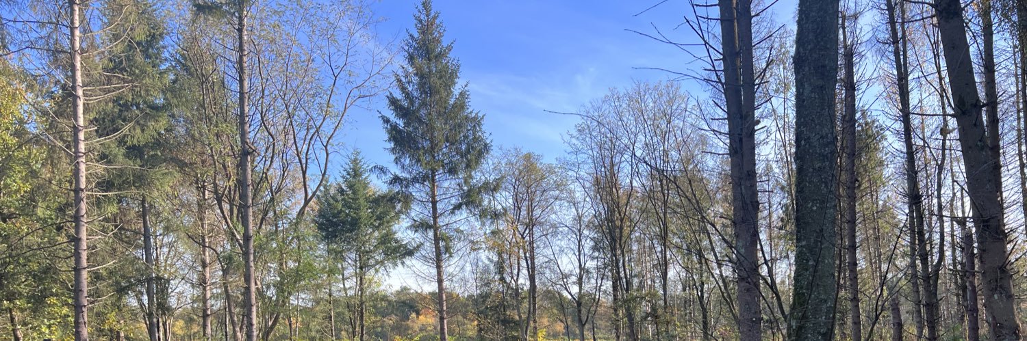 Wouter van Embden banner