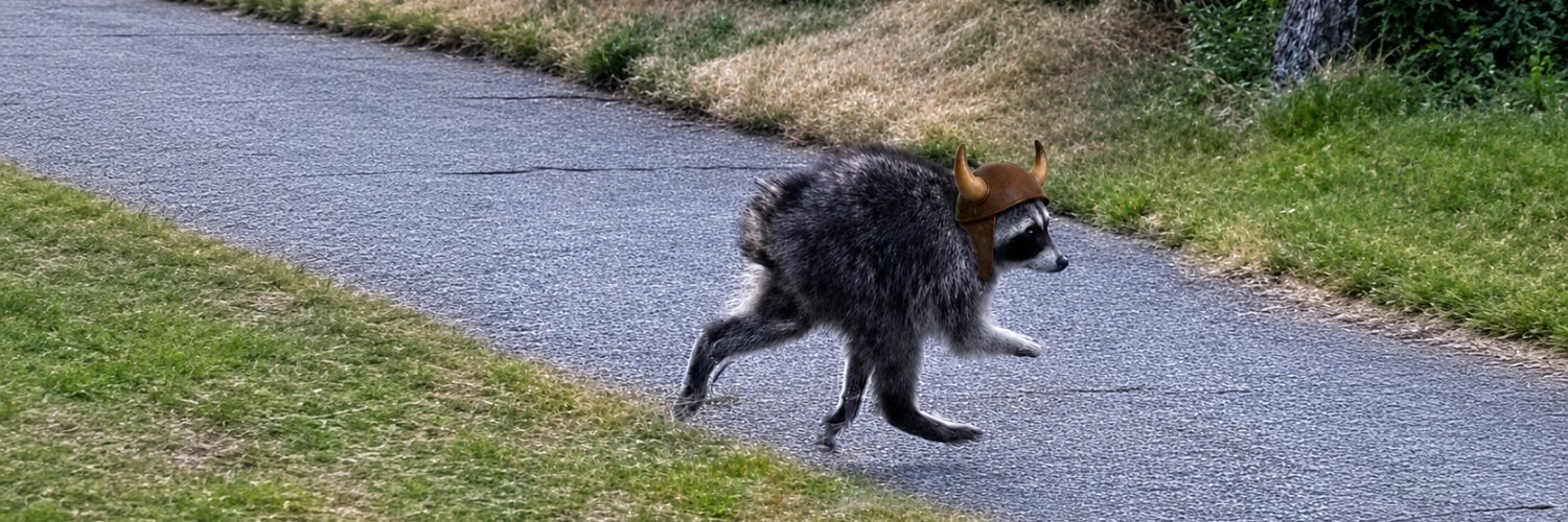 rabullx's profile banner image